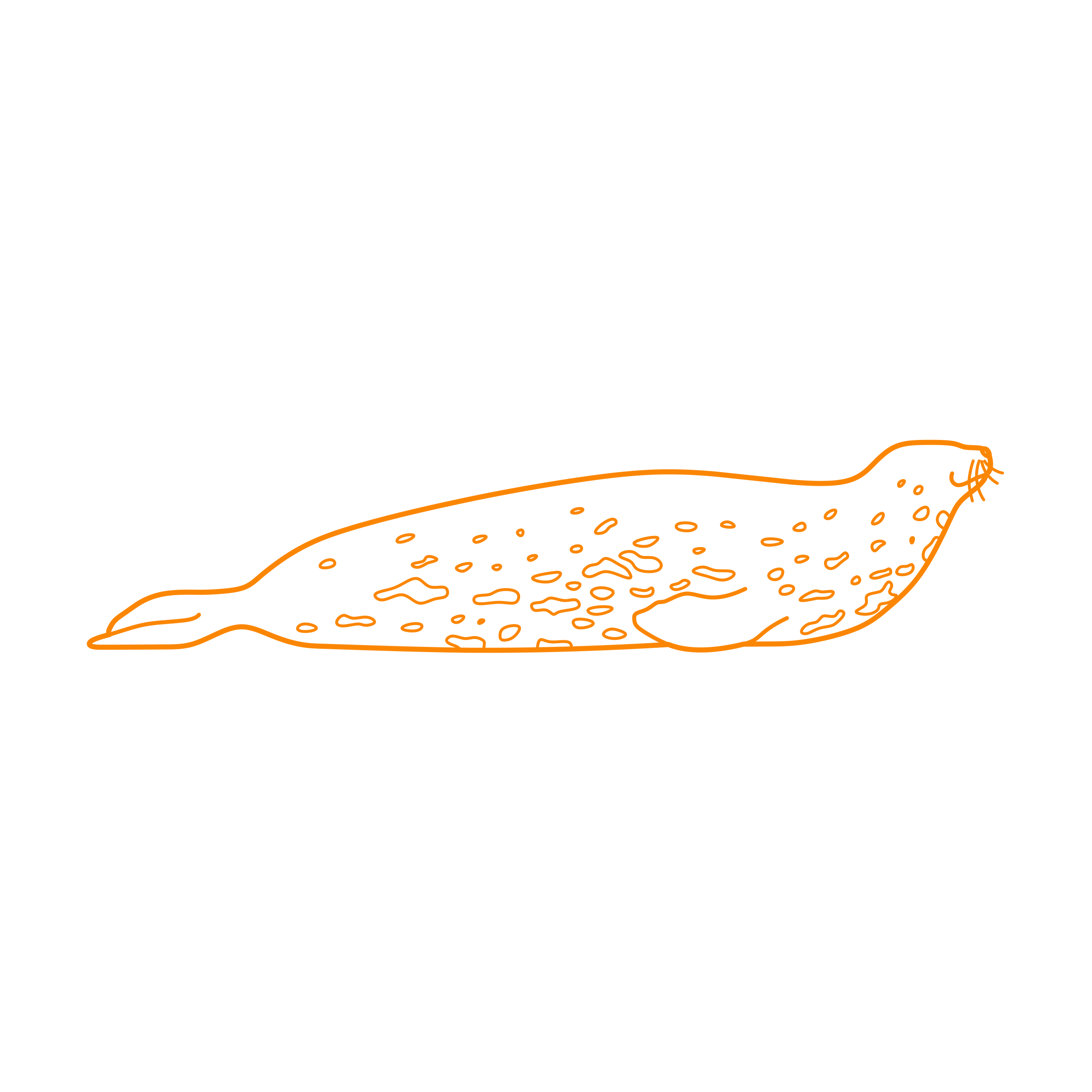 Animals Seals Weddell Seal Sketch Style Svg Vector Free Vectors